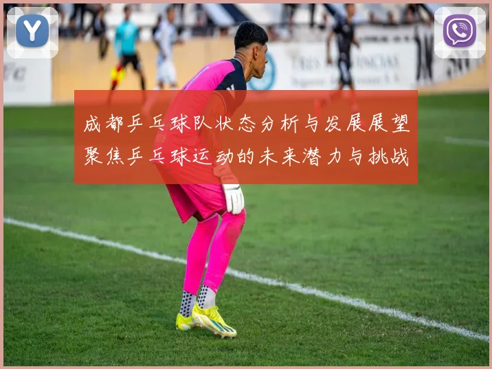 成都乒乓球队状态分析与发展展望聚焦乒乓球运动的未来潜力与挑战
